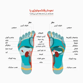 ماساژور کف پا تن زیب مدل مهره ای 102699702